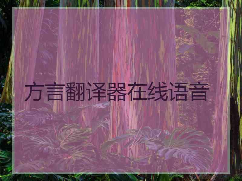 方言翻译器在线语音