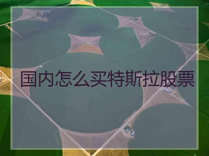 国内怎么买特斯拉股票