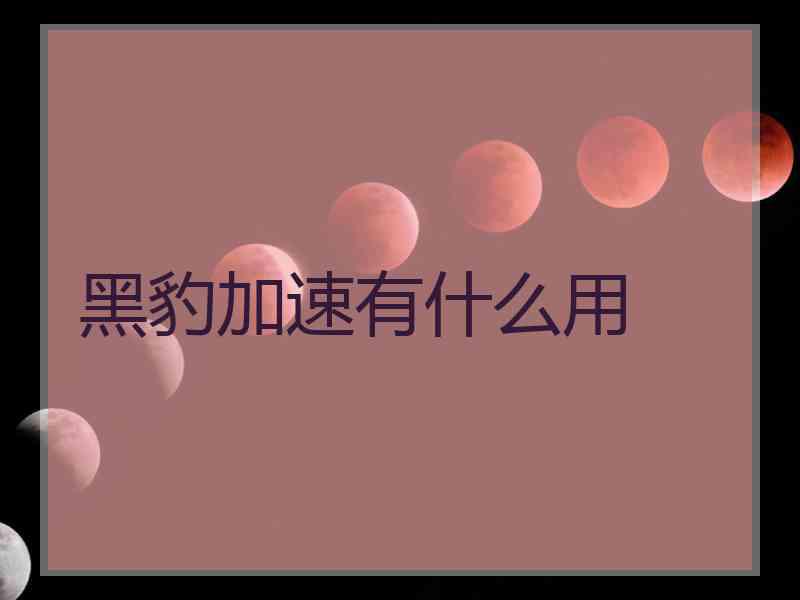黑豹加速有什么用