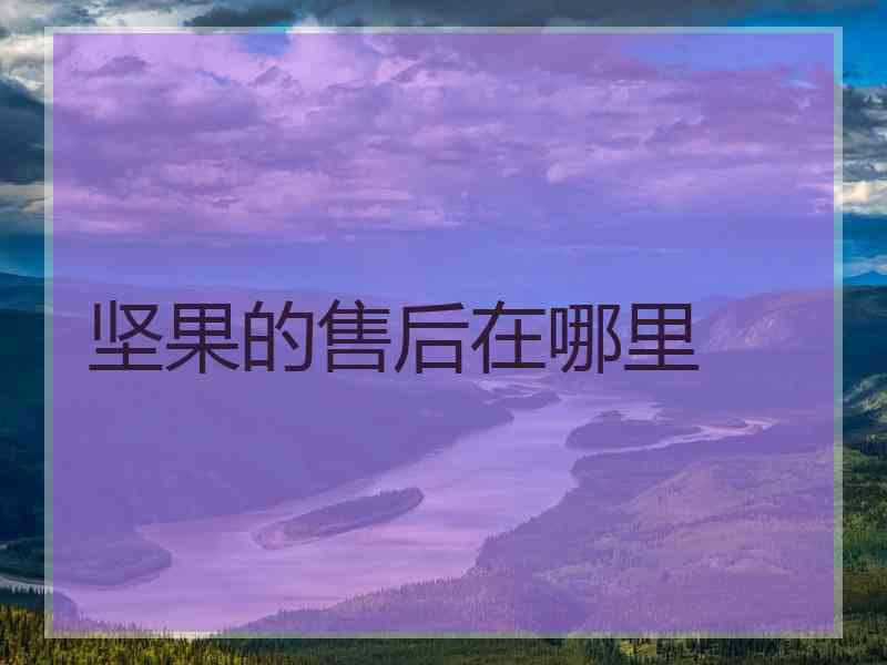 坚果的售后在哪里