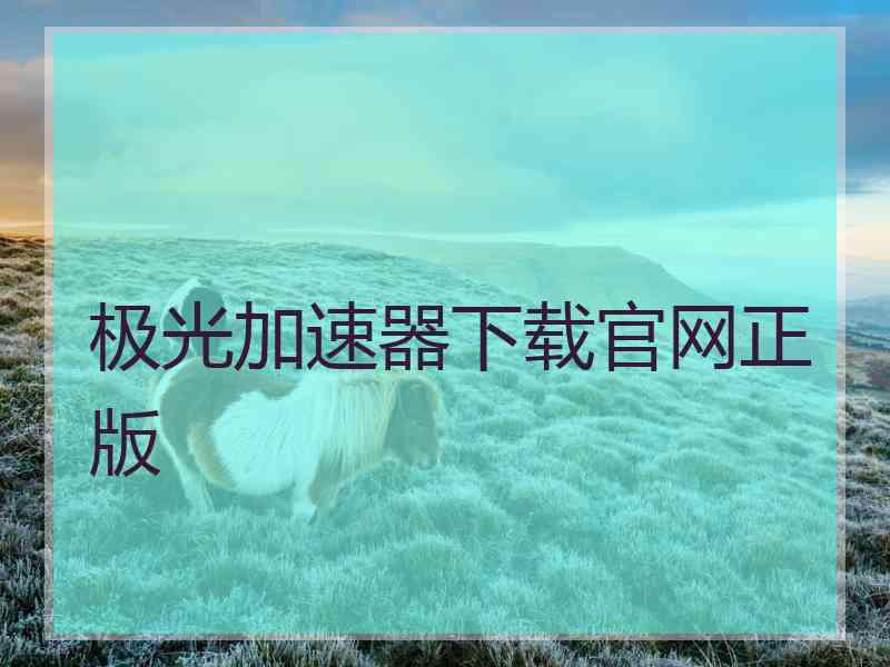 极光加速器下载官网正版