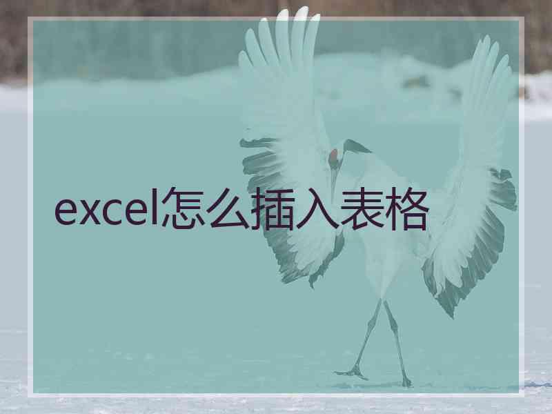 excel怎么插入表格