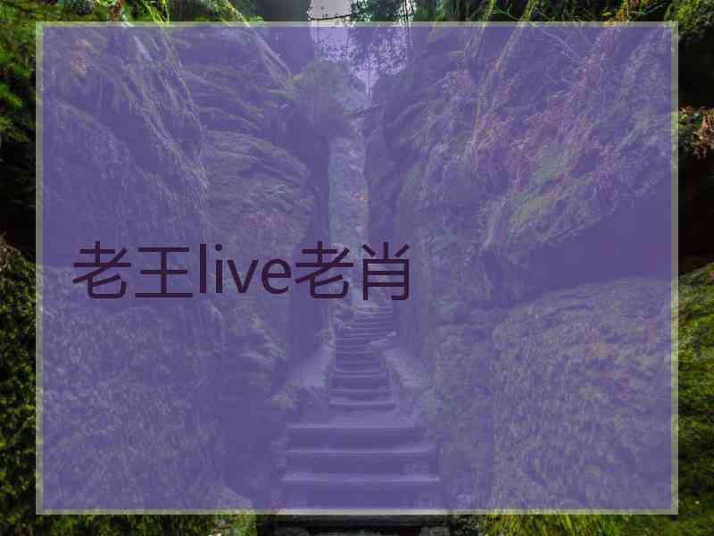 老王live老肖