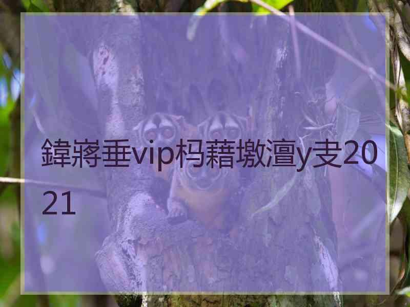鍏嶈垂vip杩藉墽澶у叏2021