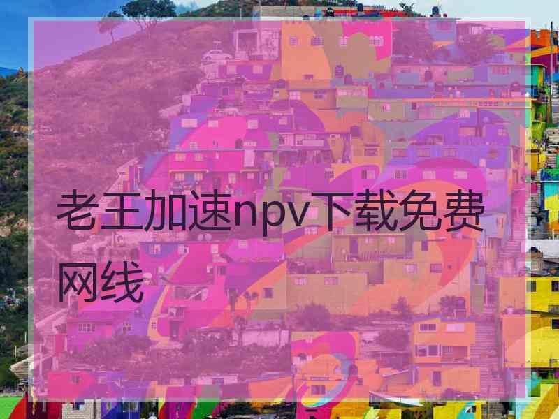 老王加速npv下载免费网线