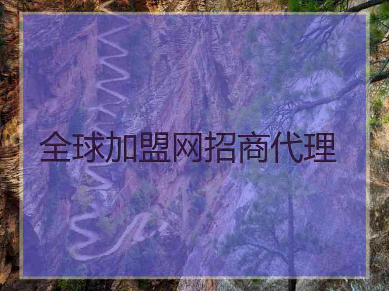 全球加盟网招商代理