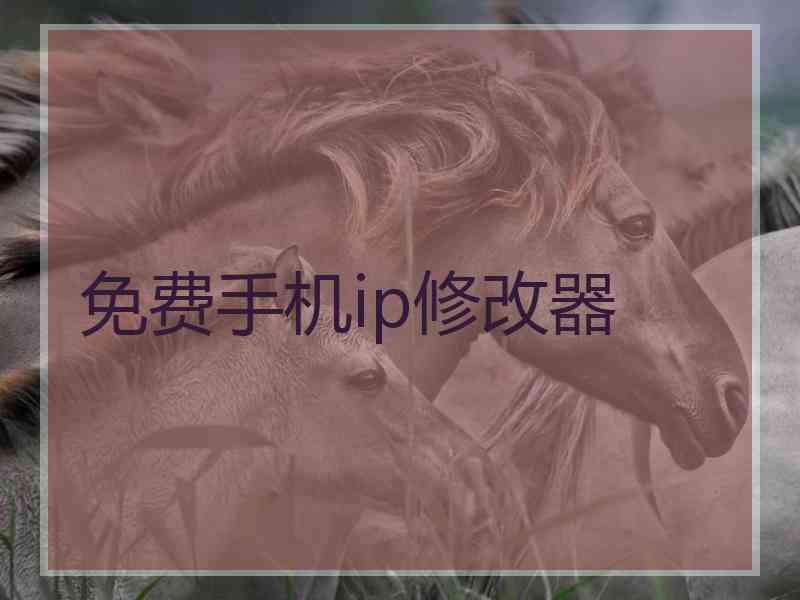 免费手机ip修改器