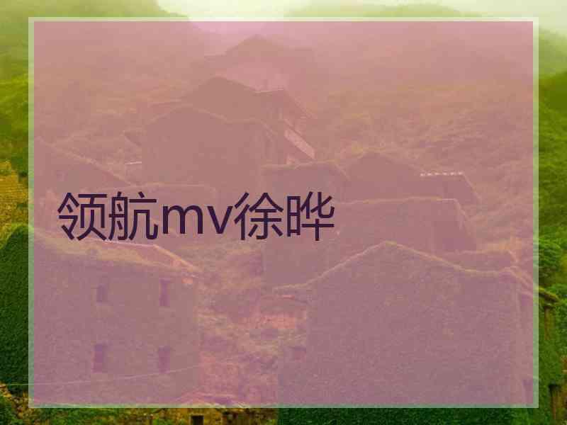 领航mv徐晔