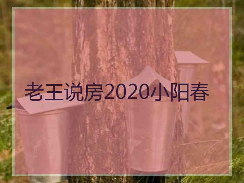 老王说房2020小阳春