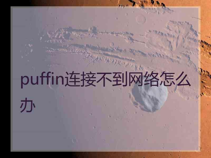 puffin连接不到网络怎么办