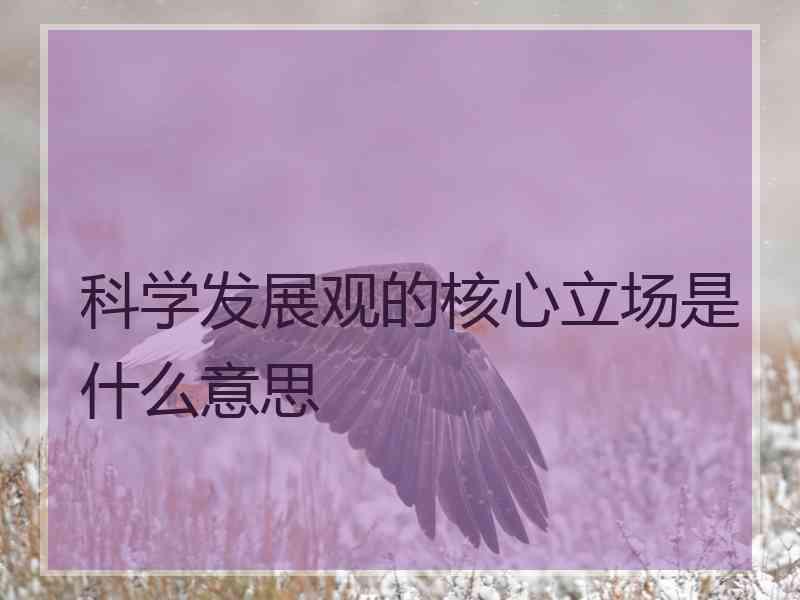 科学发展观的核心立场是什么意思