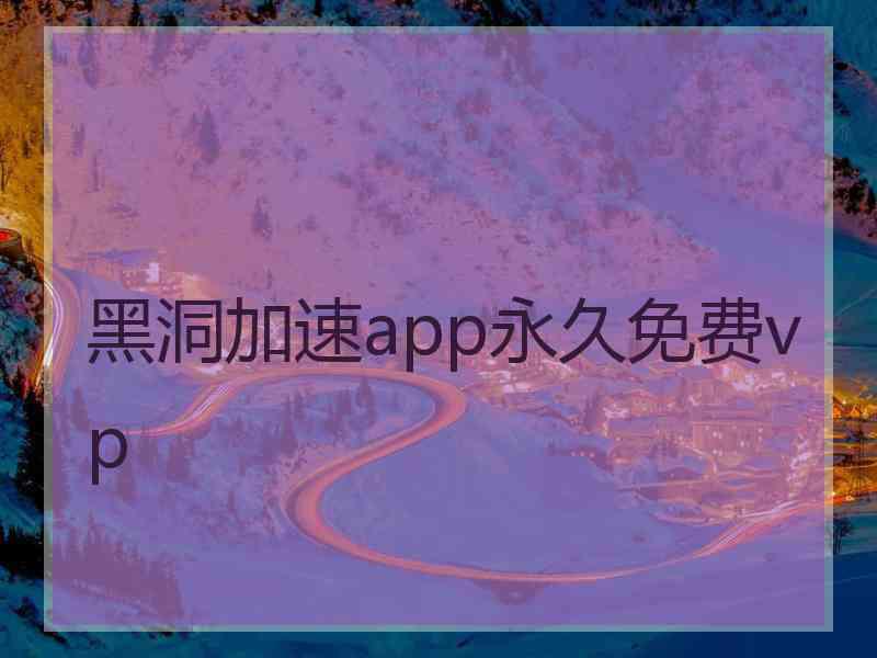 黑洞加速app永久免费vp