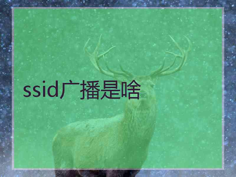ssid广播是啥