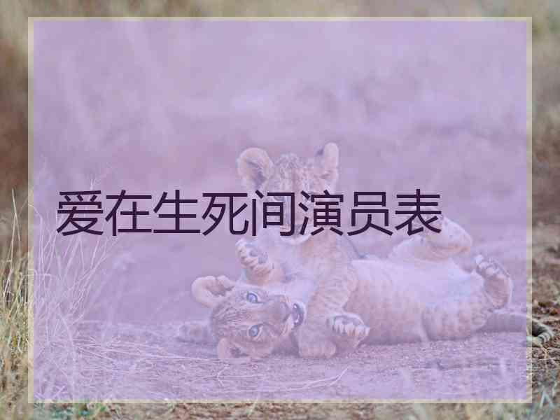 爱在生死间演员表