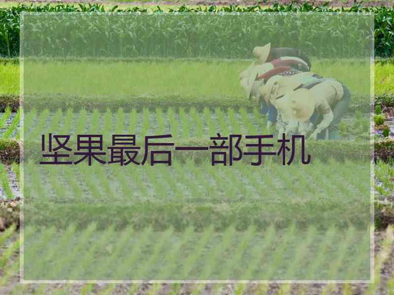 坚果最后一部手机