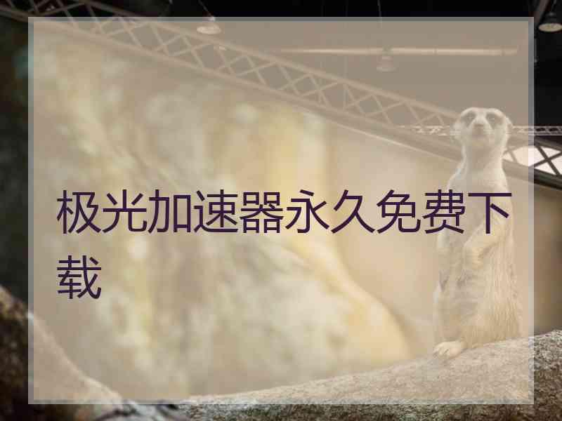 极光加速器永久免费下载