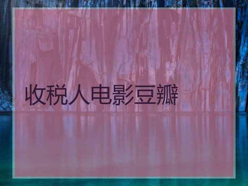 收税人电影豆瓣