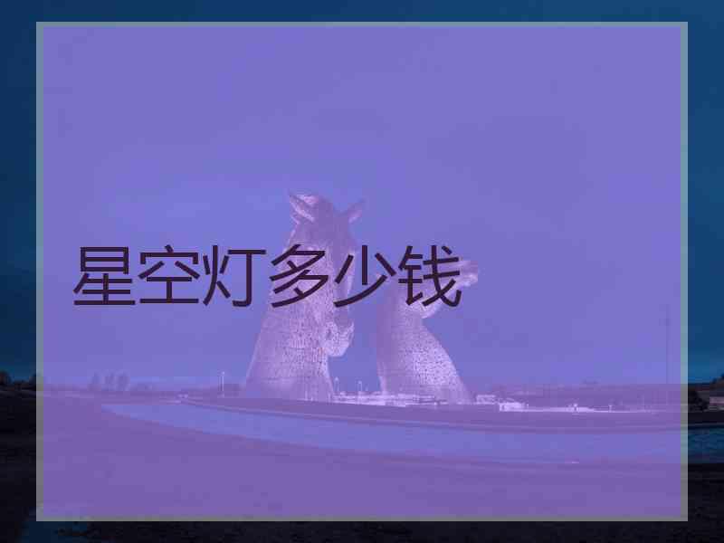 星空灯多少钱