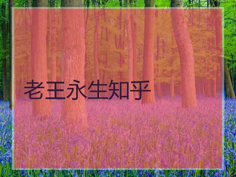 老王永生知乎