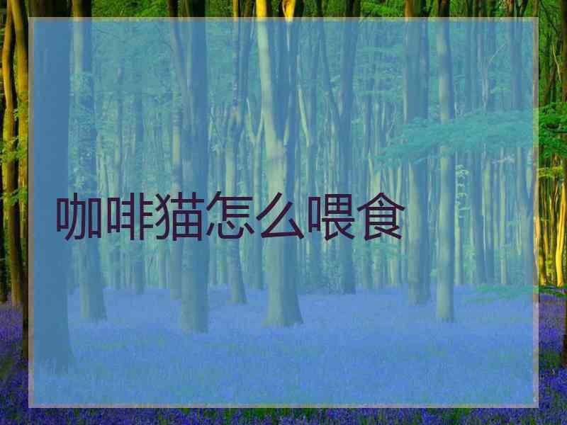 咖啡猫怎么喂食
