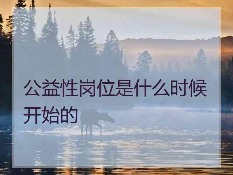 公益性岗位是什么时候开始的