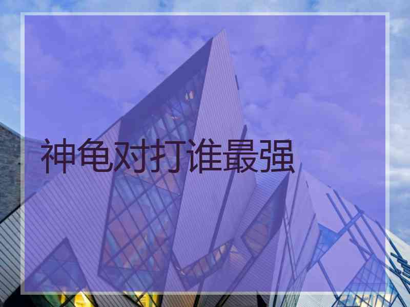 神龟对打谁最强