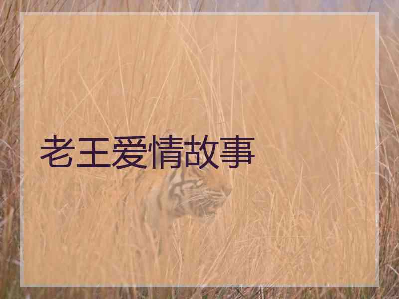 老王爱情故事
