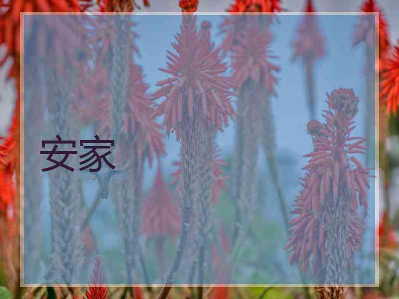 安家