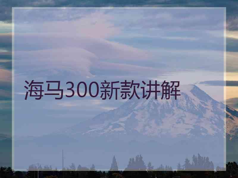 海马300新款讲解
