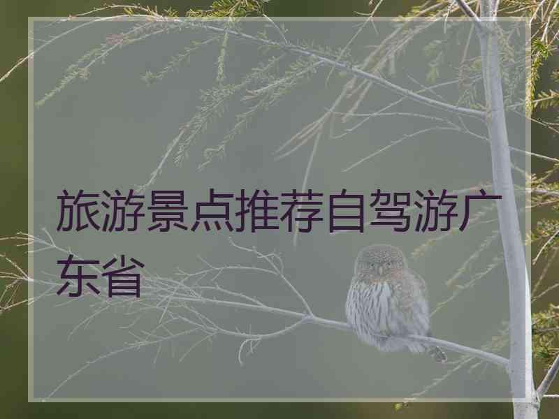 旅游景点推荐自驾游广东省