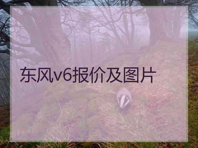 东风v6报价及图片