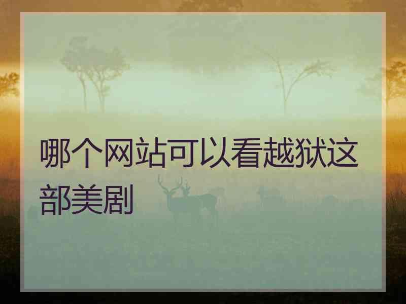哪个网站可以看越狱这部美剧