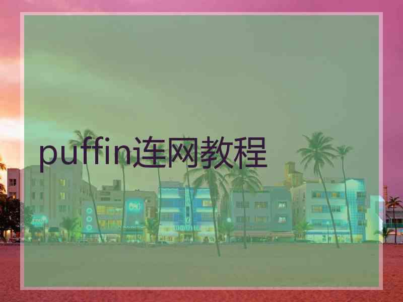 puffin连网教程