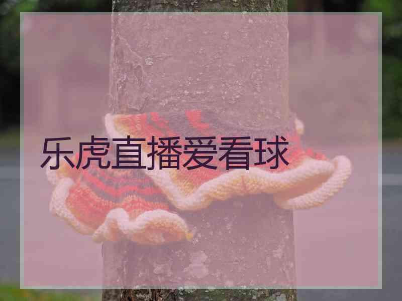 乐虎直播爱看球