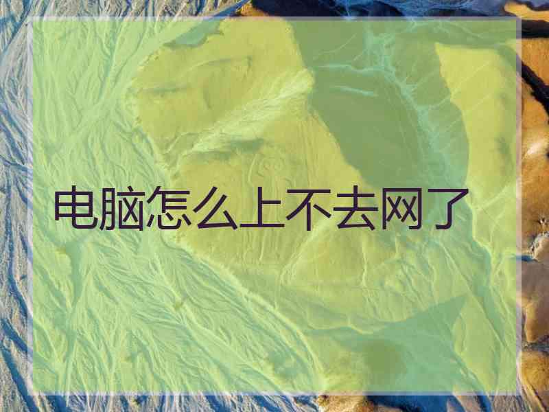 电脑怎么上不去网了