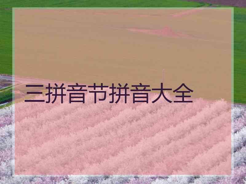 三拼音节拼音大全