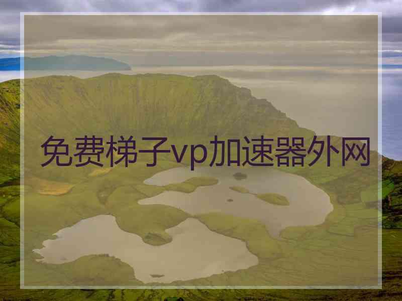 免费梯子vp加速器外网