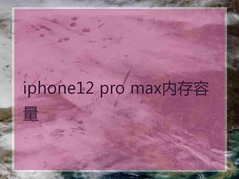 iphone12 pro max内存容量