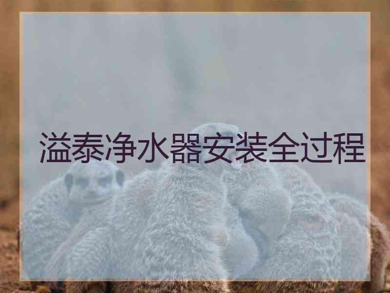 溢泰净水器安装全过程