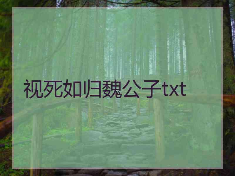视死如归魏公子txt