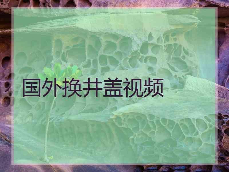 国外换井盖视频