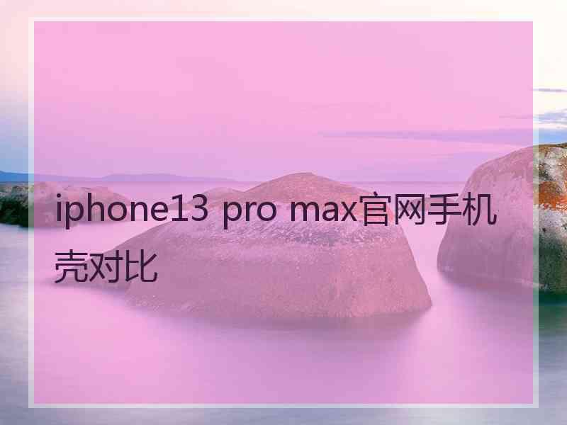 iphone13 pro max官网手机壳对比
