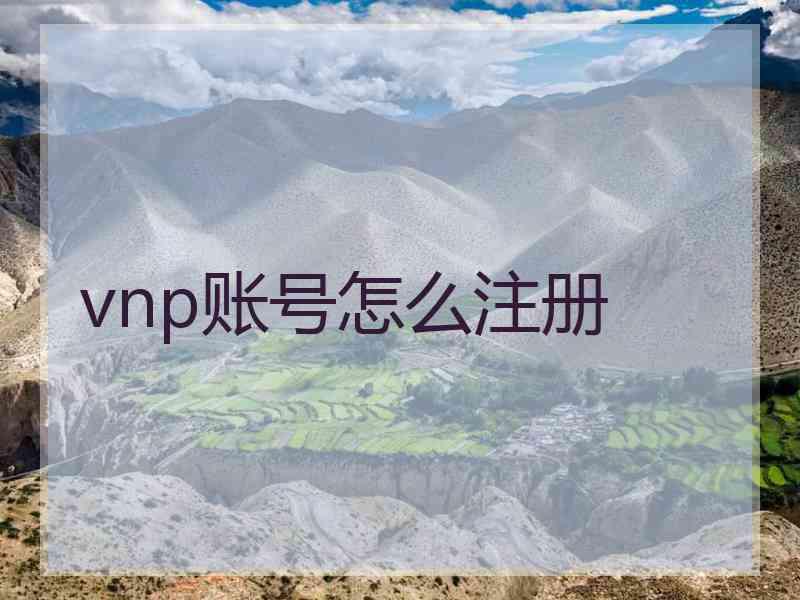 vnp账号怎么注册