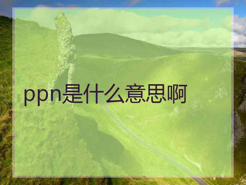 ppn是什么意思啊