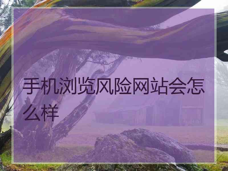 手机浏览风险网站会怎么样