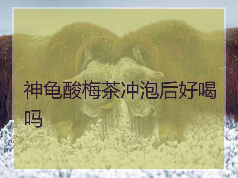 神龟酸梅茶冲泡后好喝吗