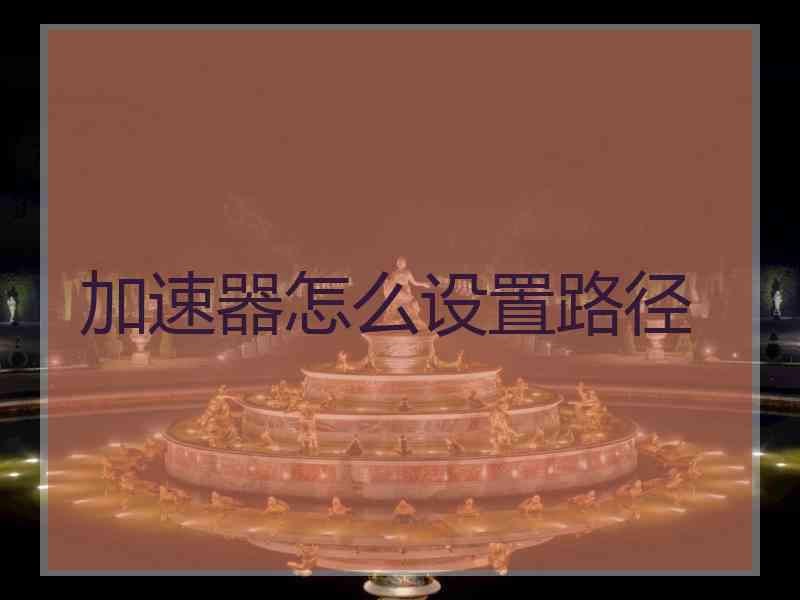 加速器怎么设置路径