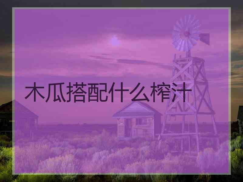 木瓜搭配什么榨汁
