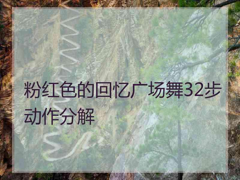粉红色的回忆广场舞32步动作分解