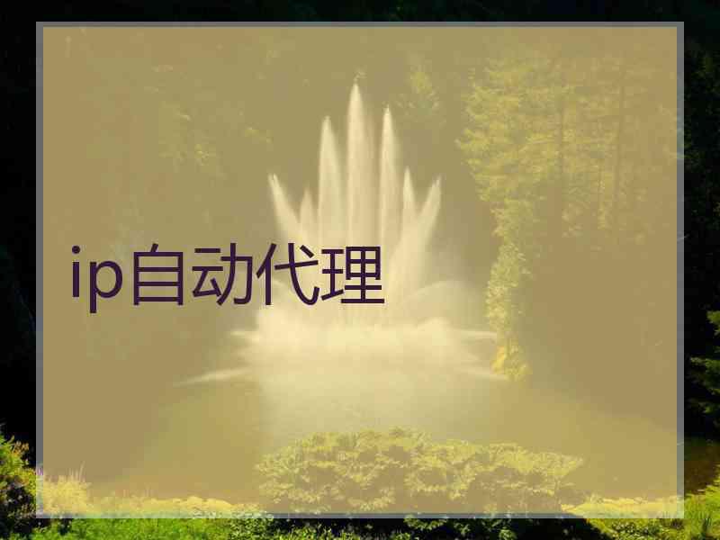 ip自动代理
